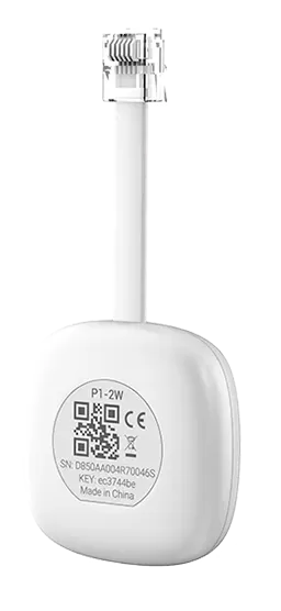 P1 Lecteur de compteur